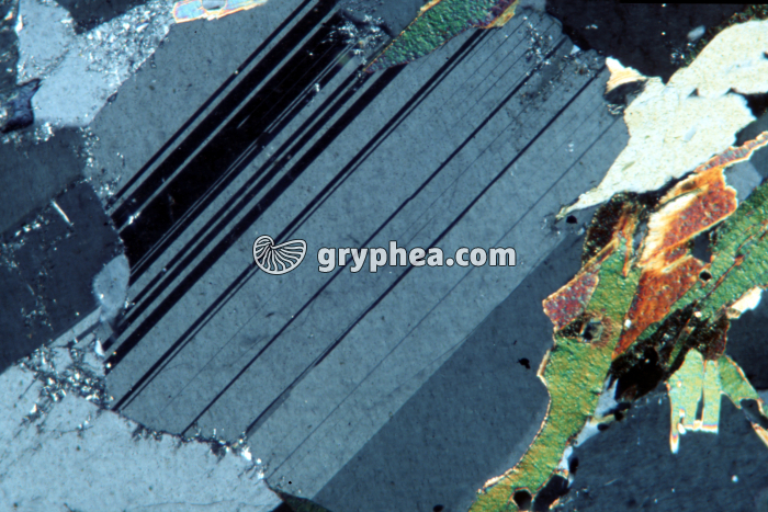 Plagioclase (feldspath) LPA x10 - gryphea.com